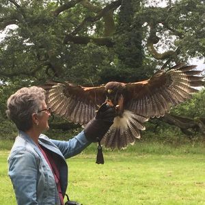 Meet your Posher, Doreen